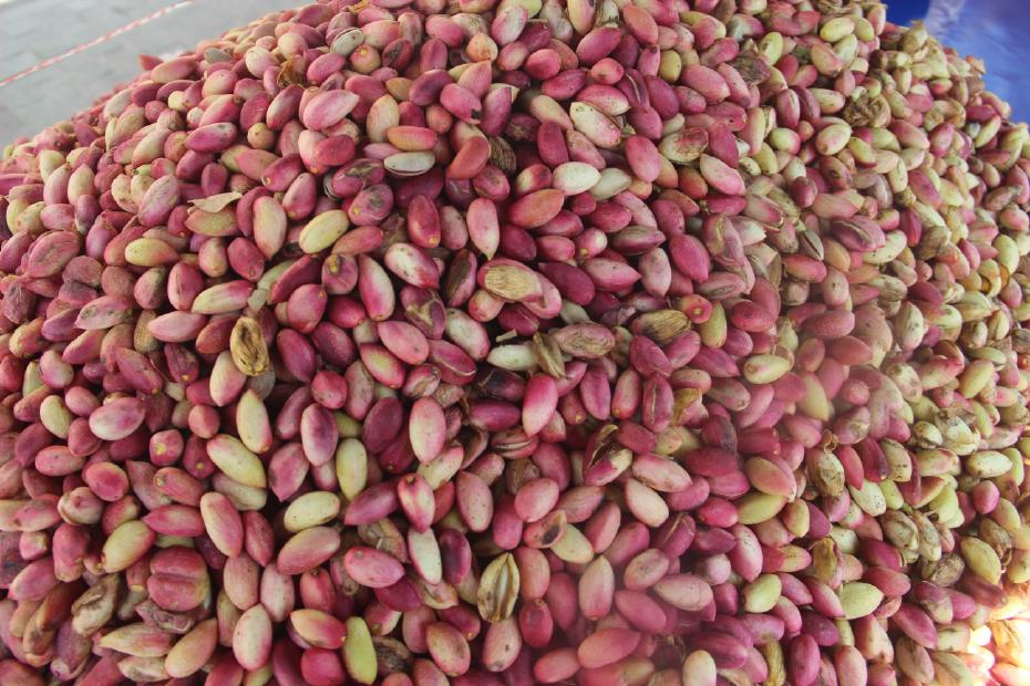 Şanlıurfa'da Yeni Hasat Fıstıkları Pazarları Süslüyor